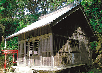 三浦の散歩道  〈第117回〉