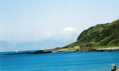 三浦の散歩道  〈第120回〉