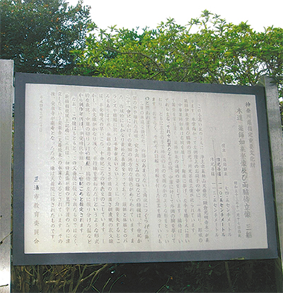 三浦の散歩道  〈第126回〉