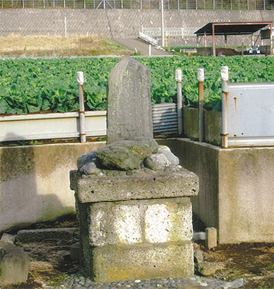 三浦の散歩道  〈第128回〉