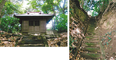 三浦の散歩道〈第136回／完〉