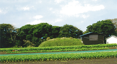 三浦の咄（はなし）いろいろ