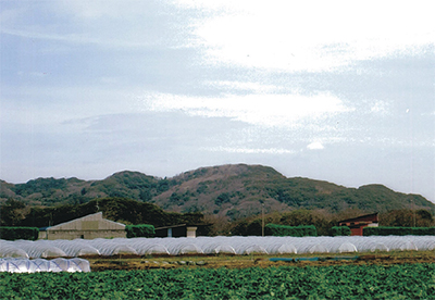 三浦の咄（はなし）いろいろ