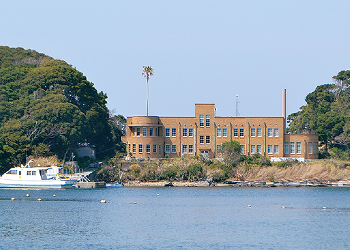 東京大学三崎臨海実験所異聞〜団夫妻が残したもの〜