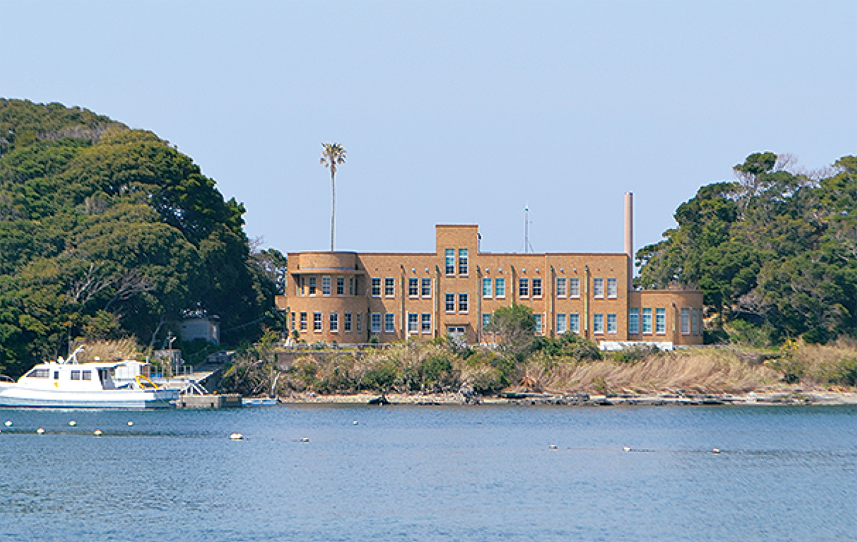 東京大学三崎臨海実験所異聞〜団夫妻が残したもの〜