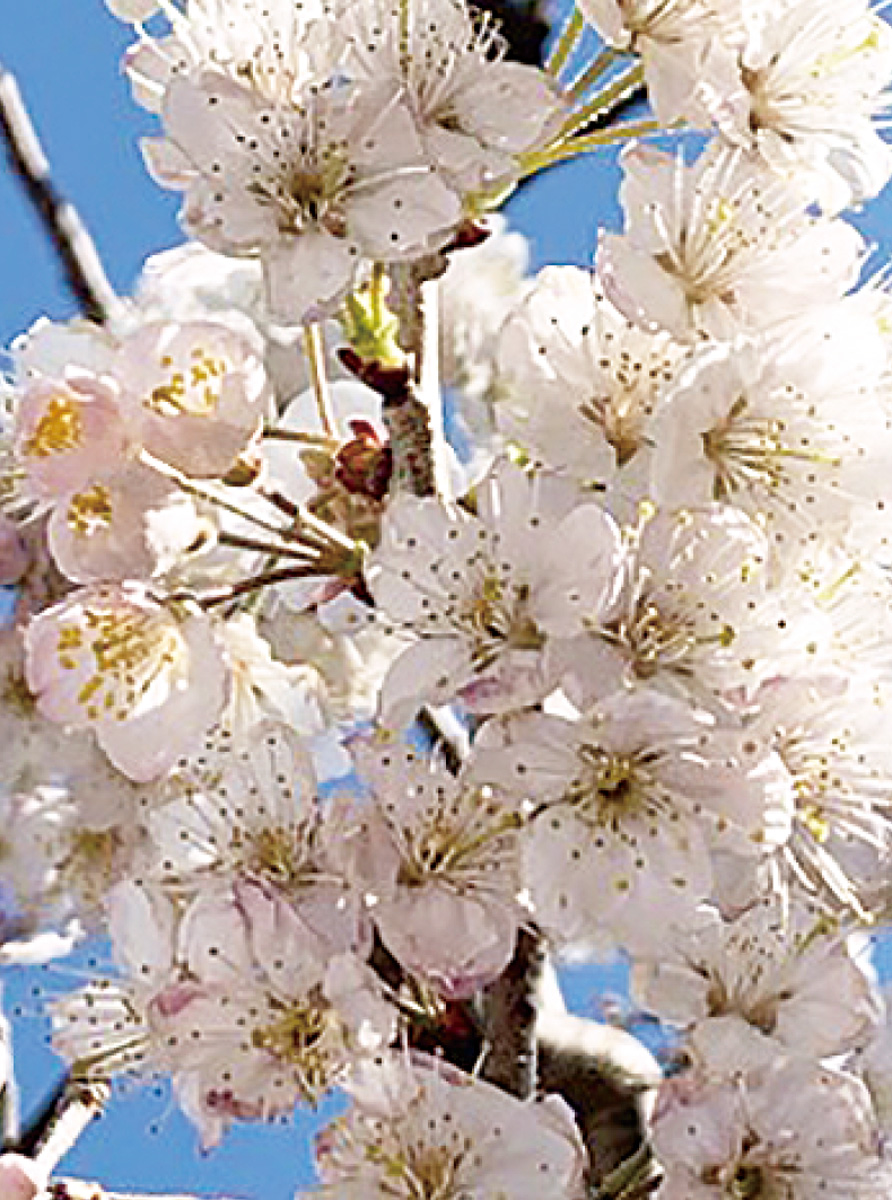 世界一の素敵親子をめざして