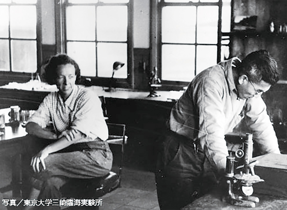 東京大学三崎臨海実験所異聞〜団夫妻が残したもの〜