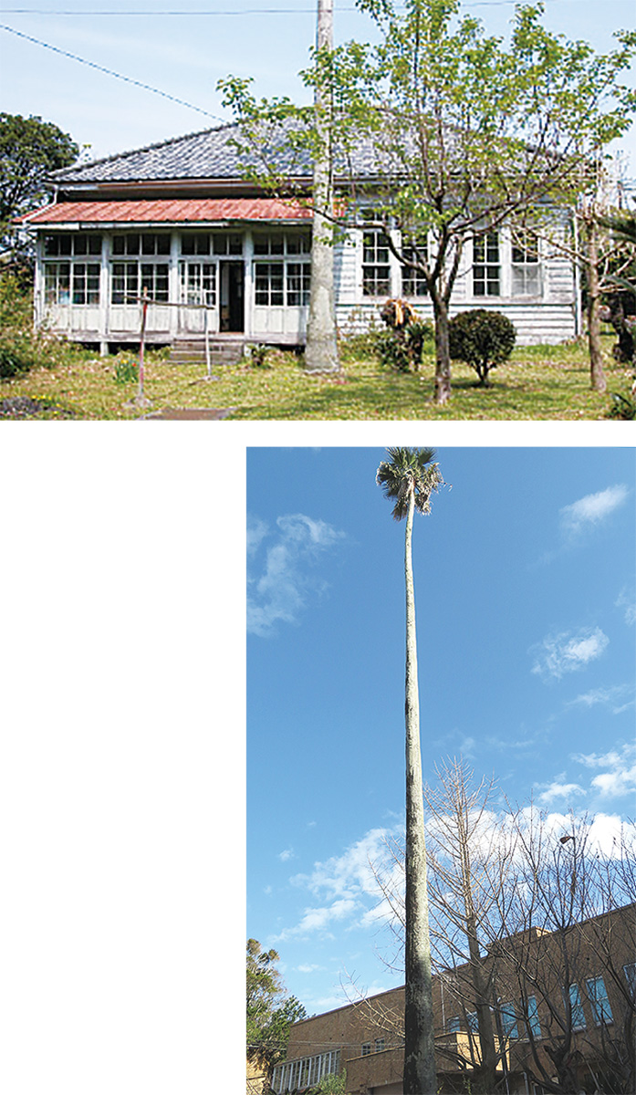 東京大学三崎臨海実験所異聞〜団夫妻が残したもの〜