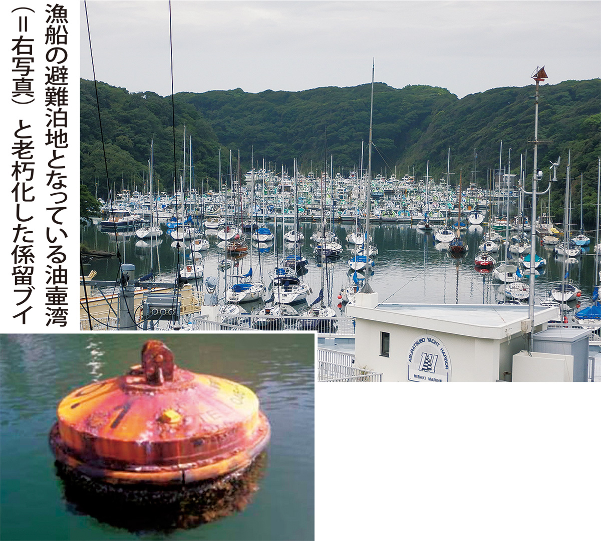 油壷湾「係留ブイ」更新