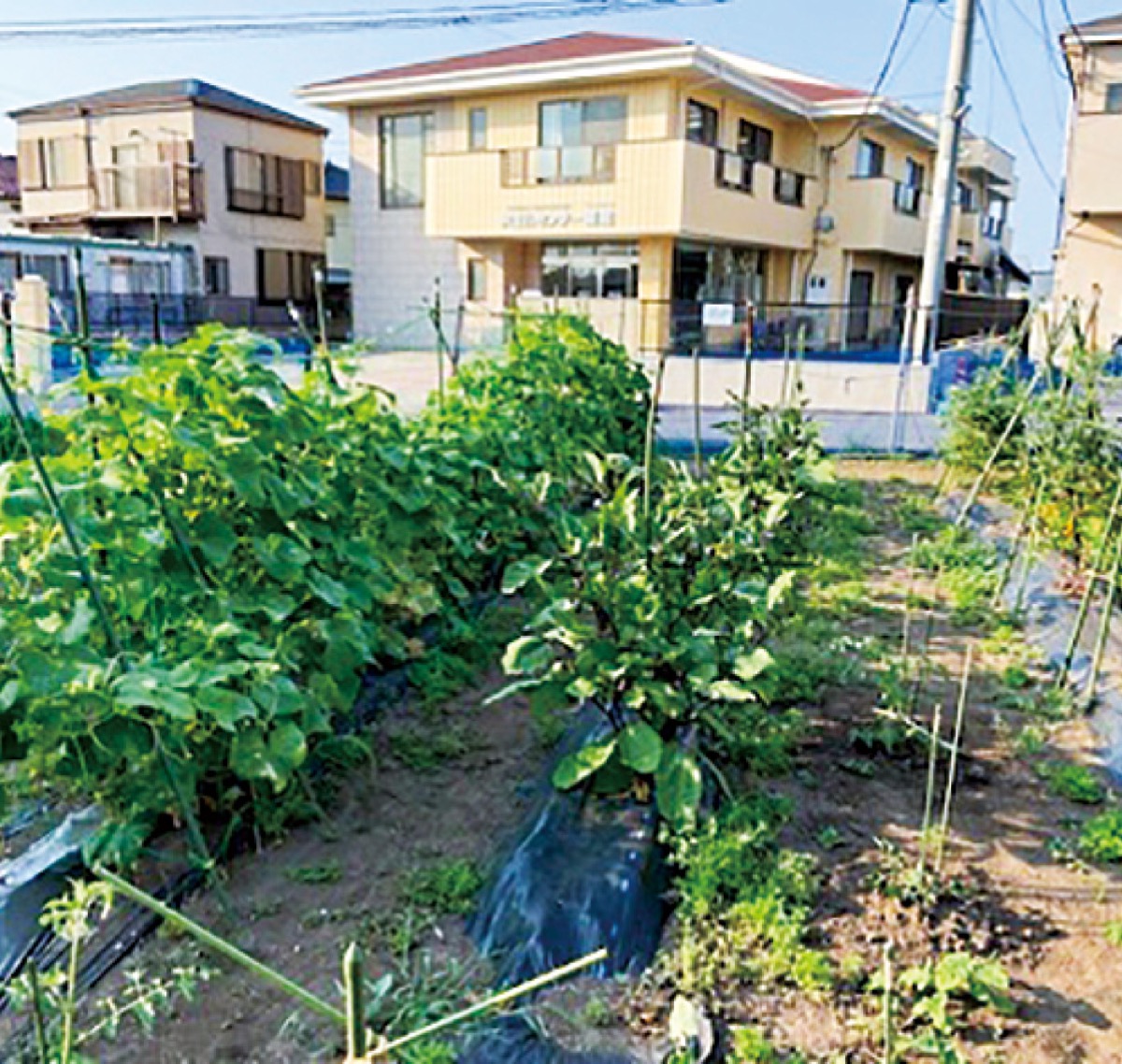 100まで元気！健康ワンポイントアドバイス