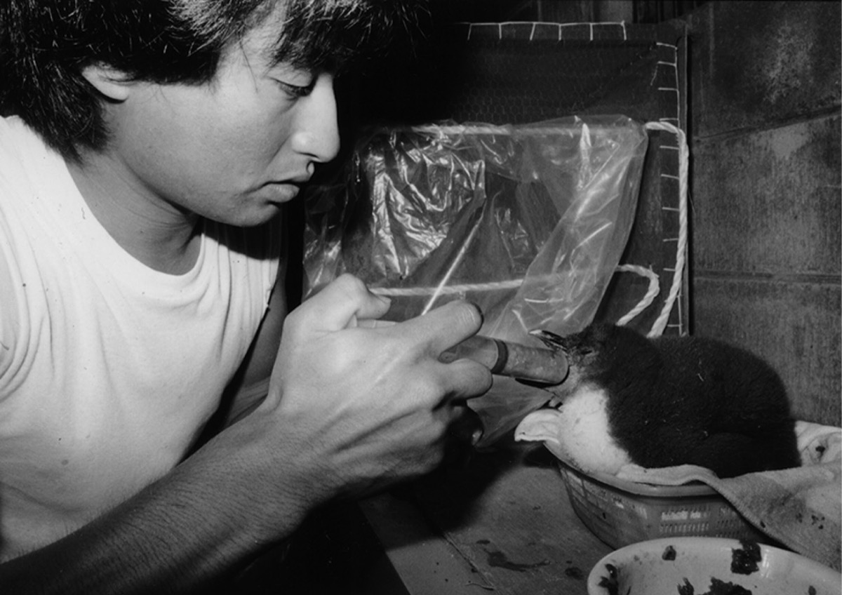 思い出や学び、忘れないで