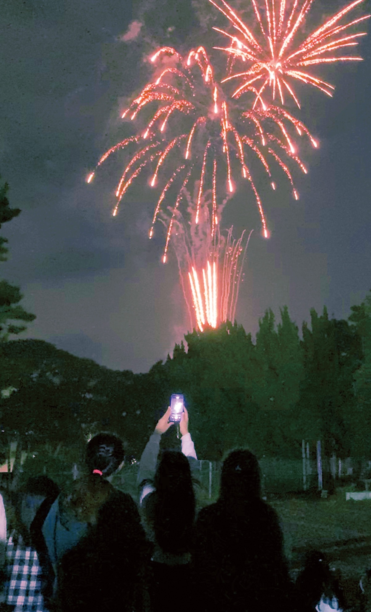 初冬の夜空に大輪咲く