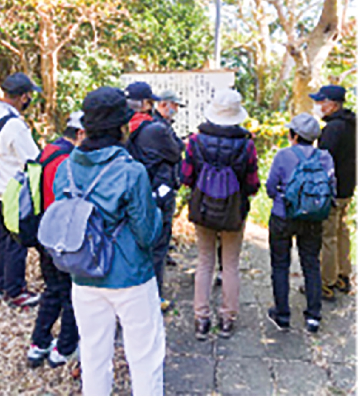 100まで元気！健康ワンポイントアドバイス