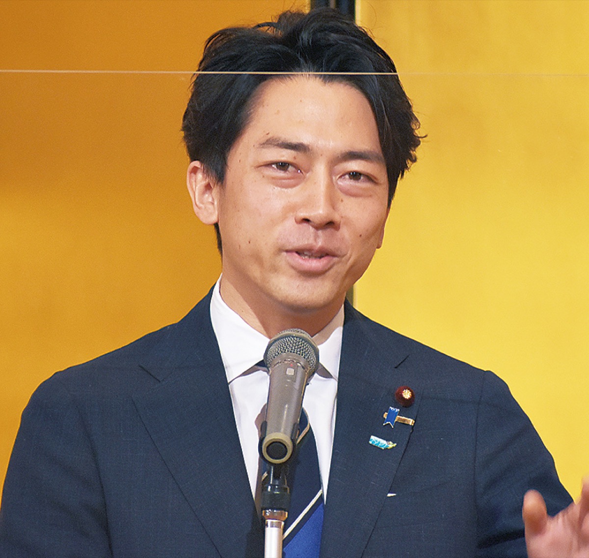 新県連会長に小泉氏
