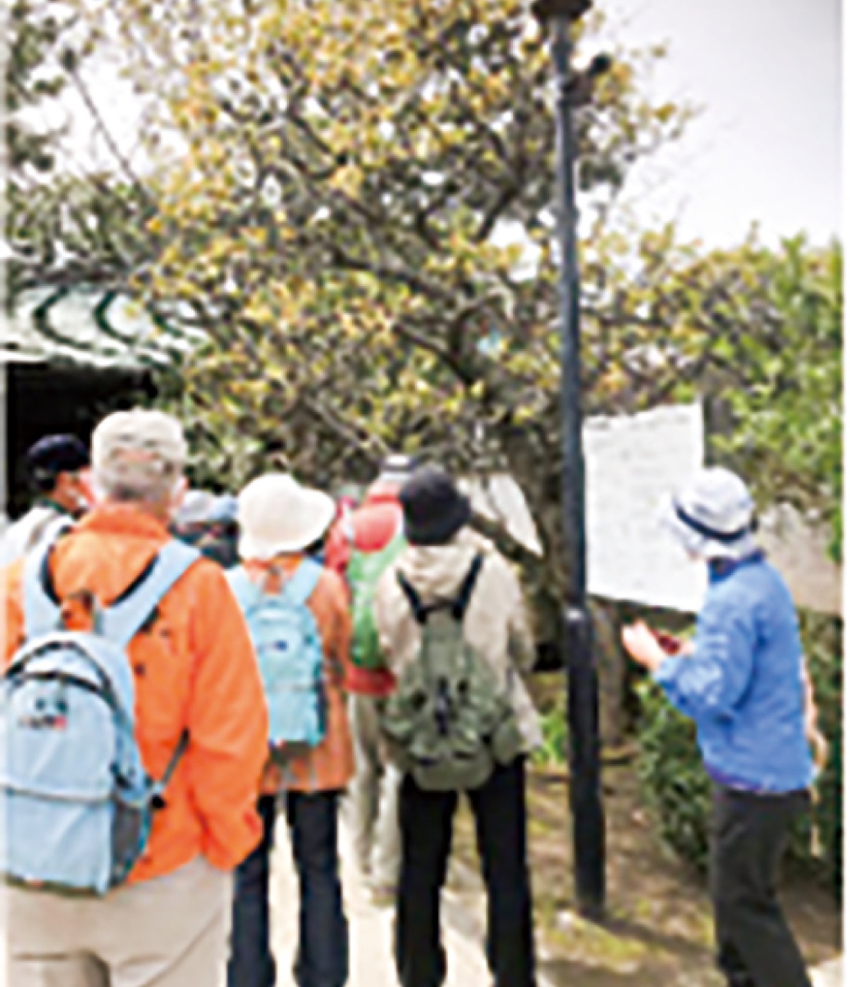 100まで元気！健康ワンポイントアドバイス