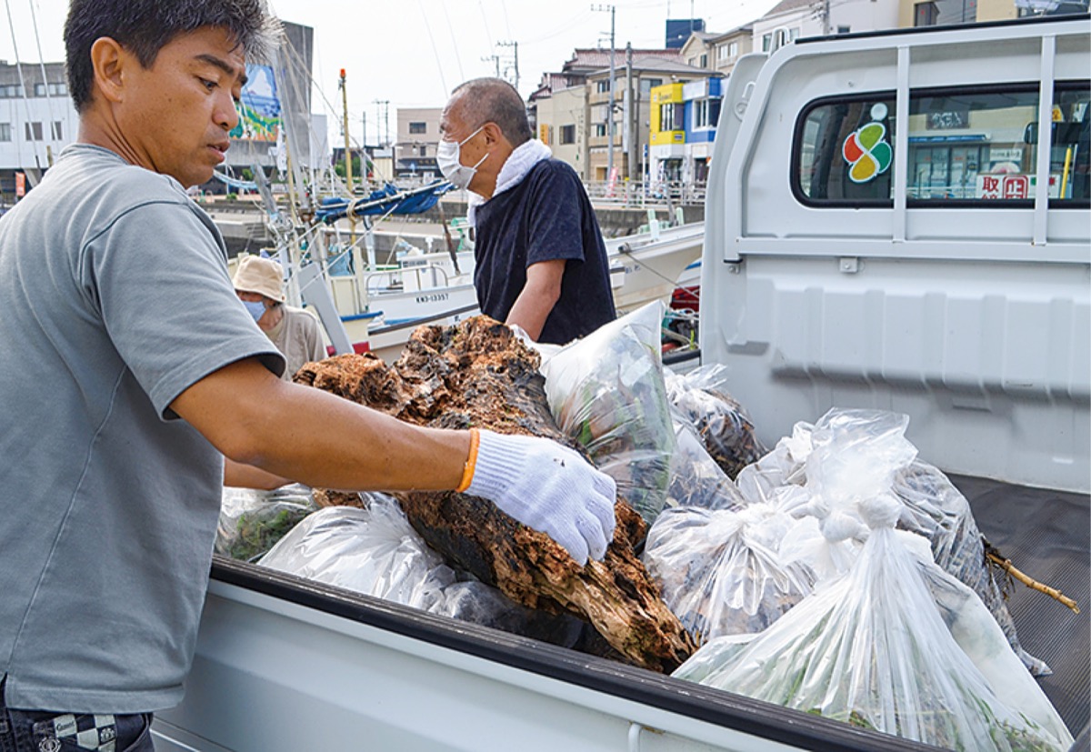 流木など車の荷台に積んで回収した