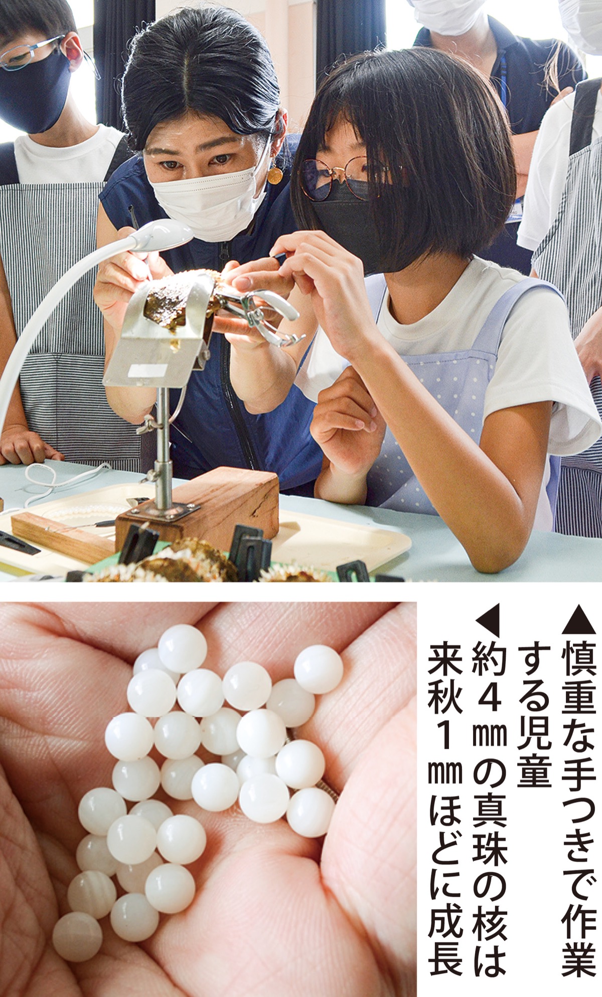 たくましく生きる｢海の教育｣ (写真2)