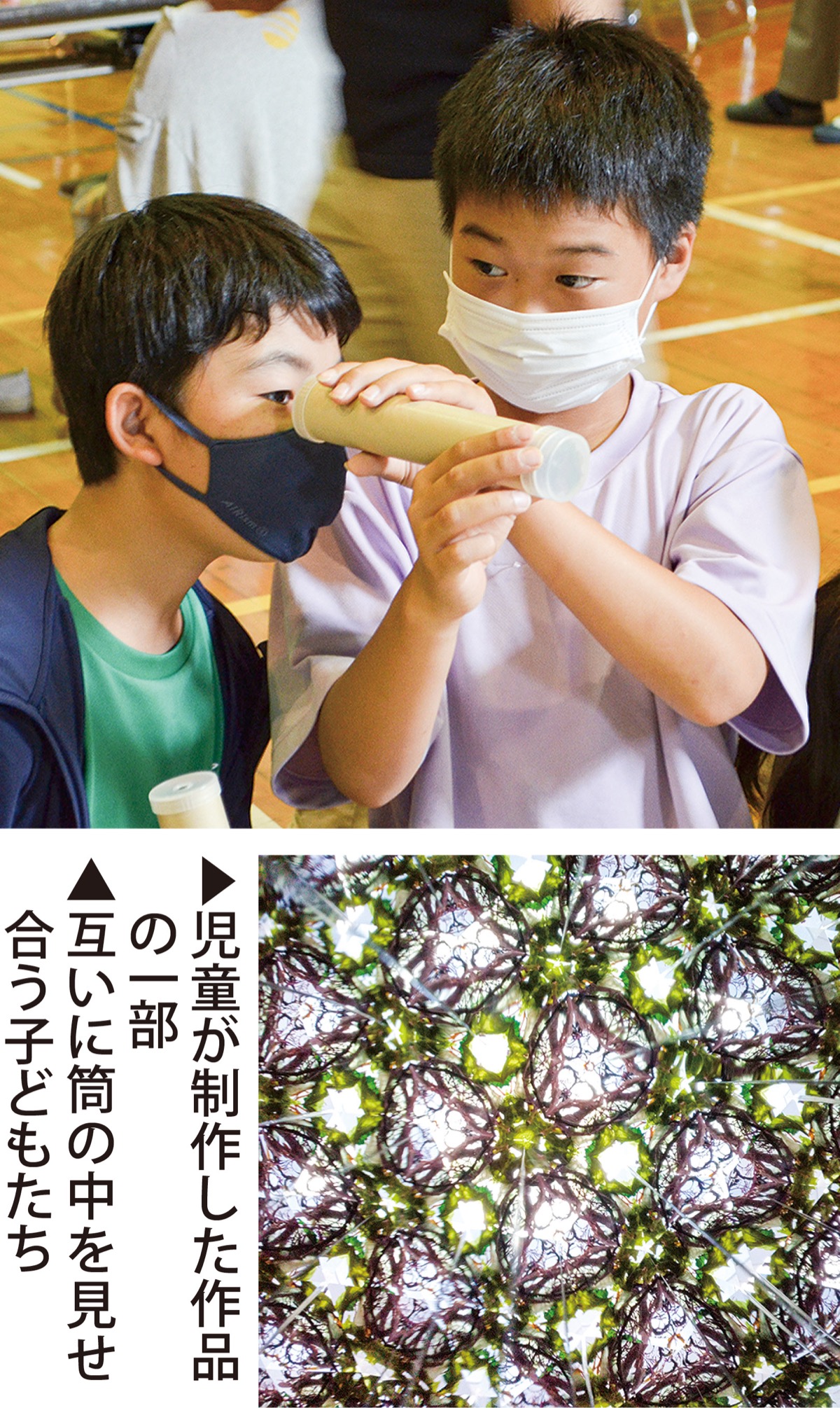 たくましく生きる｢海の教育｣