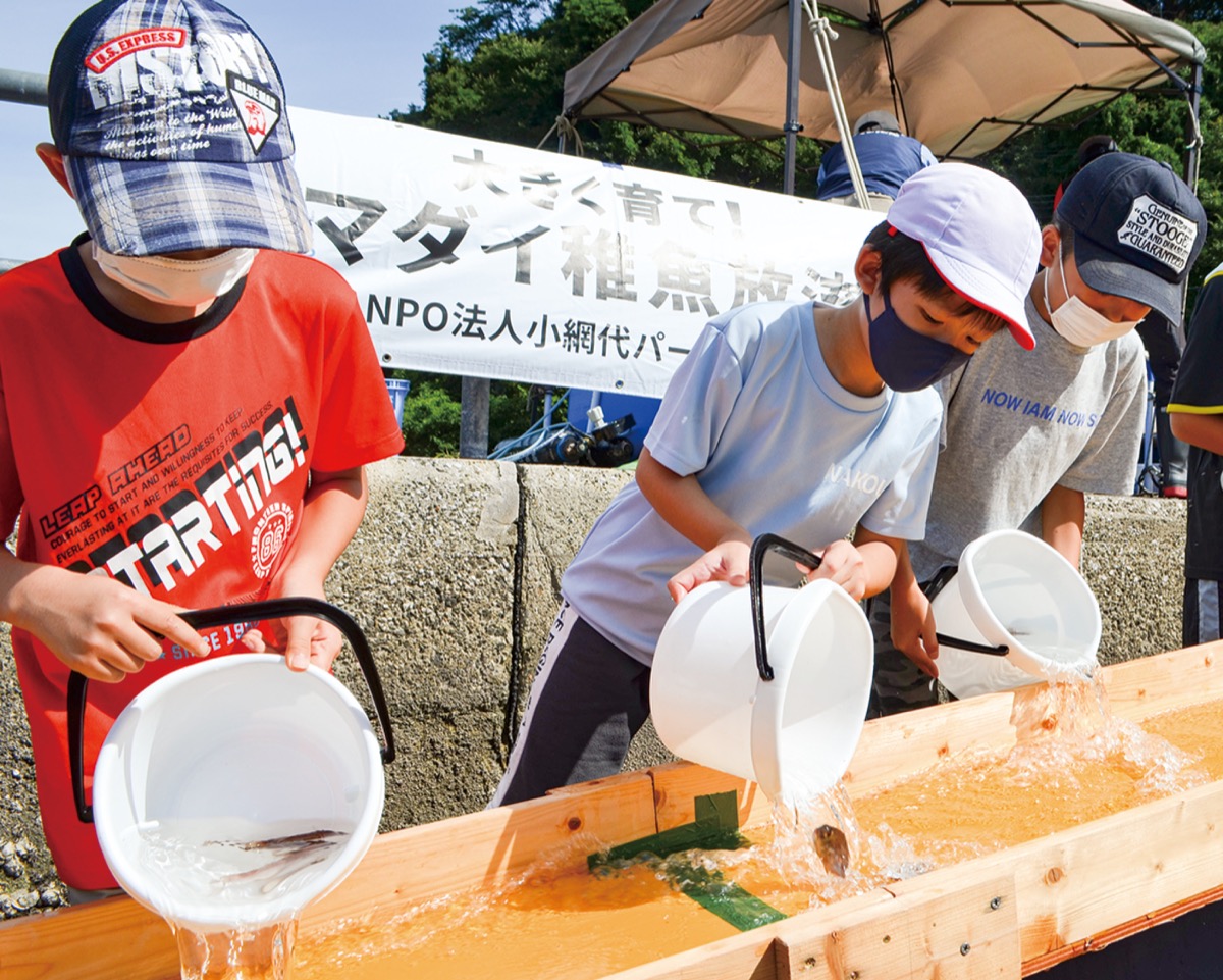 ｢大きくなってね｣