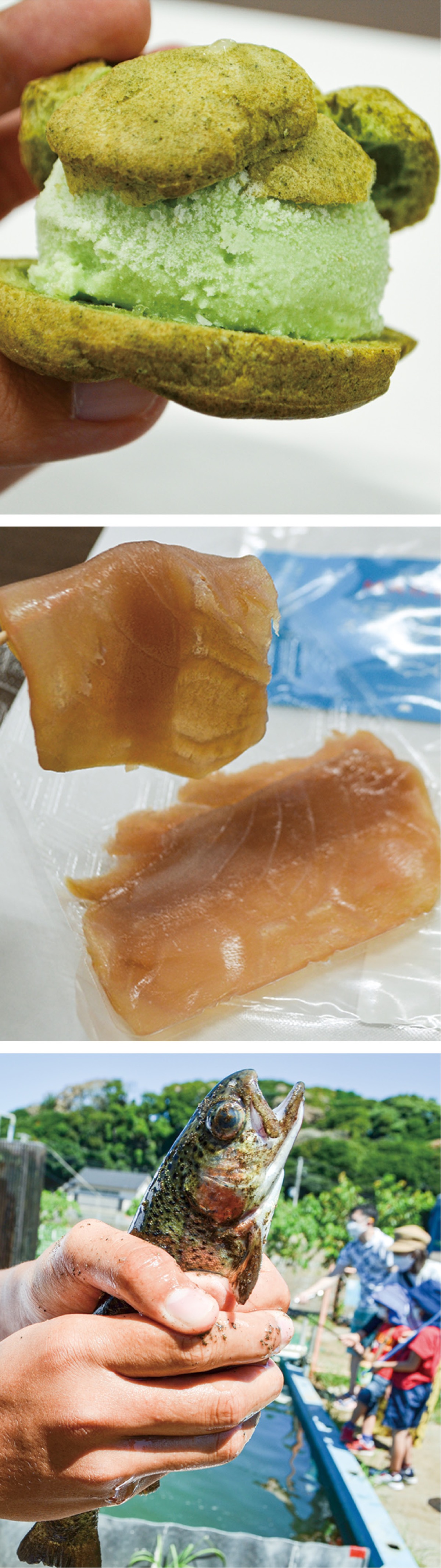 魅力ある三浦の3件決定