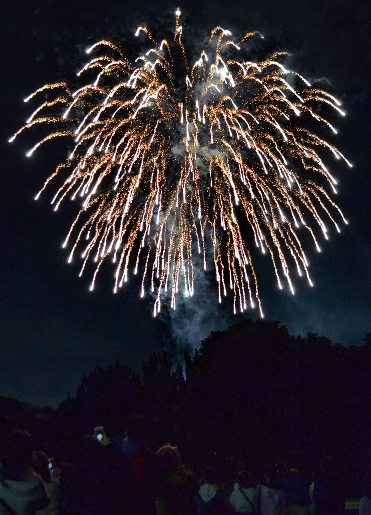 冬空いっぱい祝福の輝き