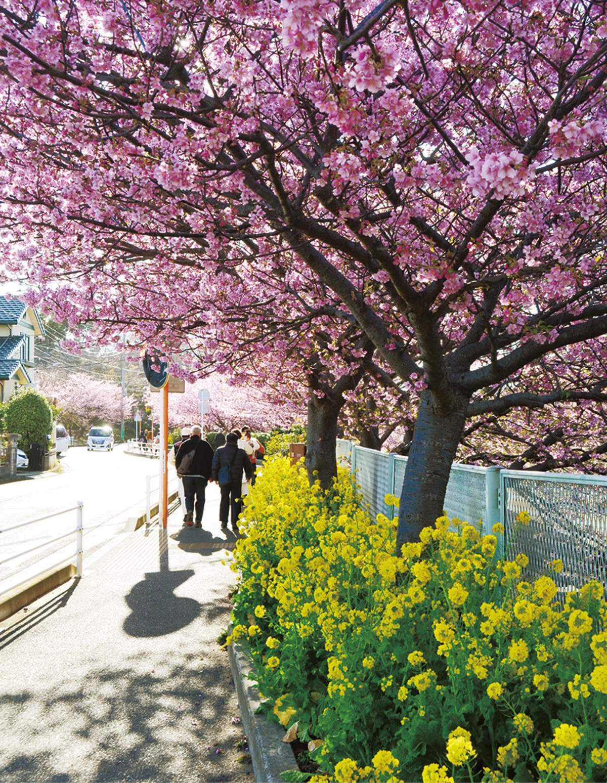 駐車場シェアで渋滞緩和