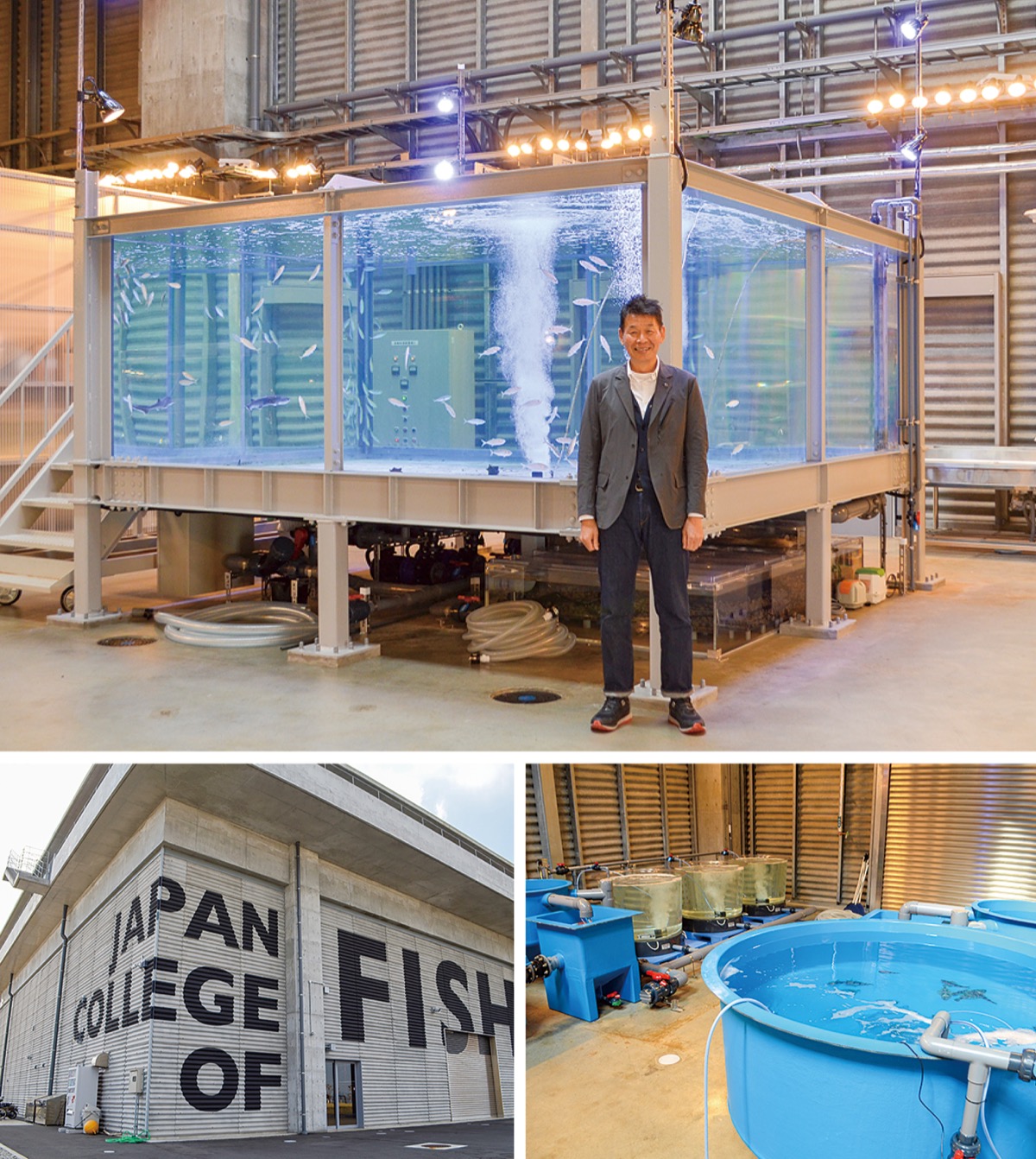 ｢さかなの学校｣が誕生