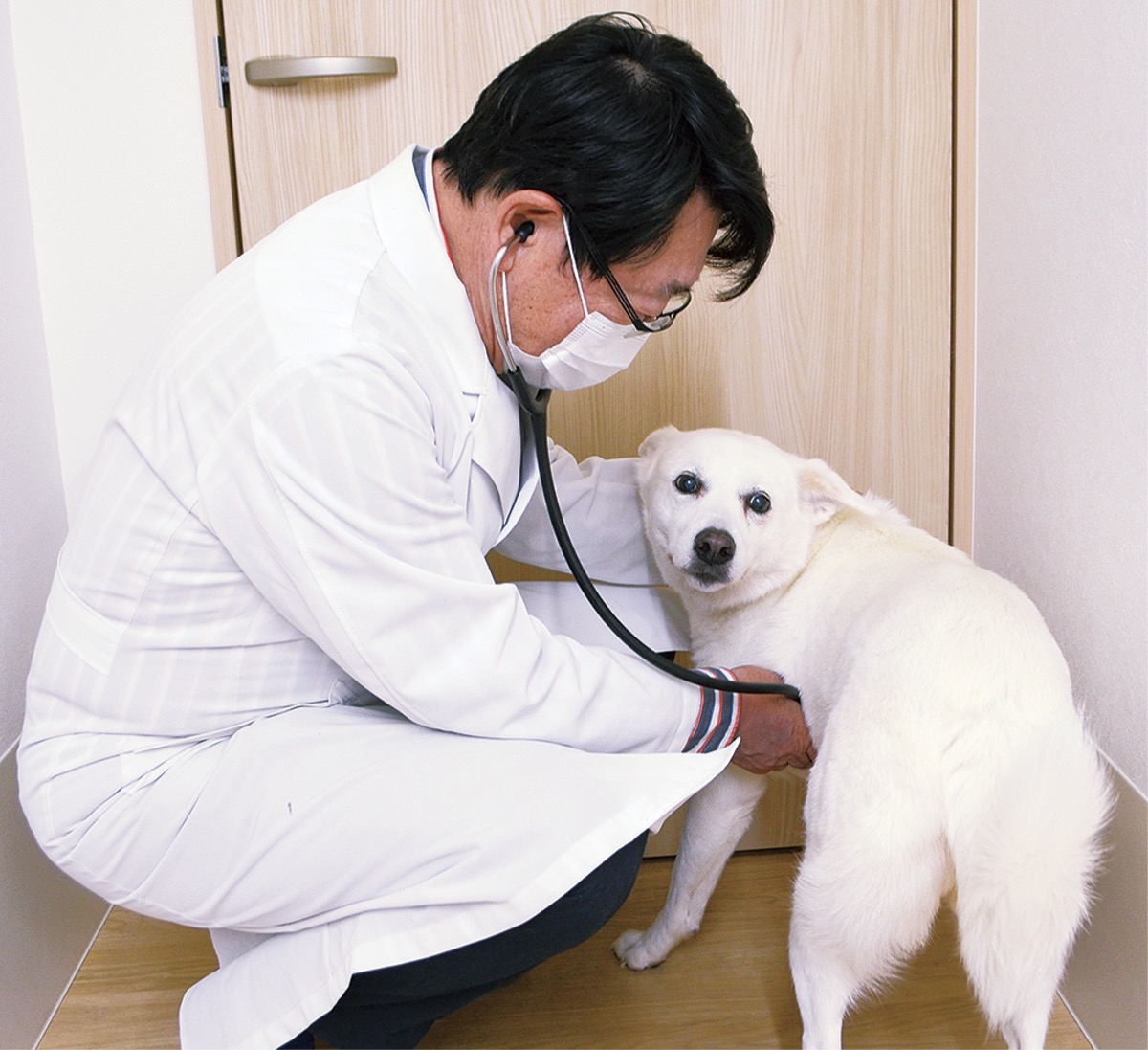 ｢狂犬病・フィラリア予防を｣