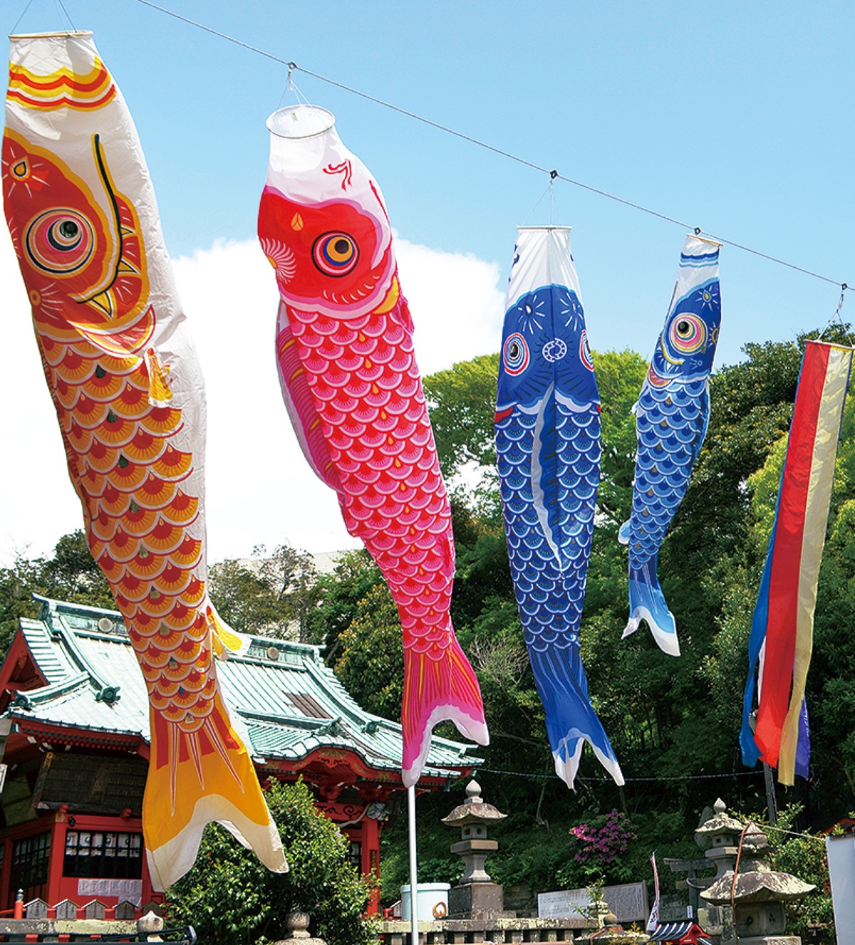 勢い良く泳ぐカラフルなこいのぼり＝4月17日撮影