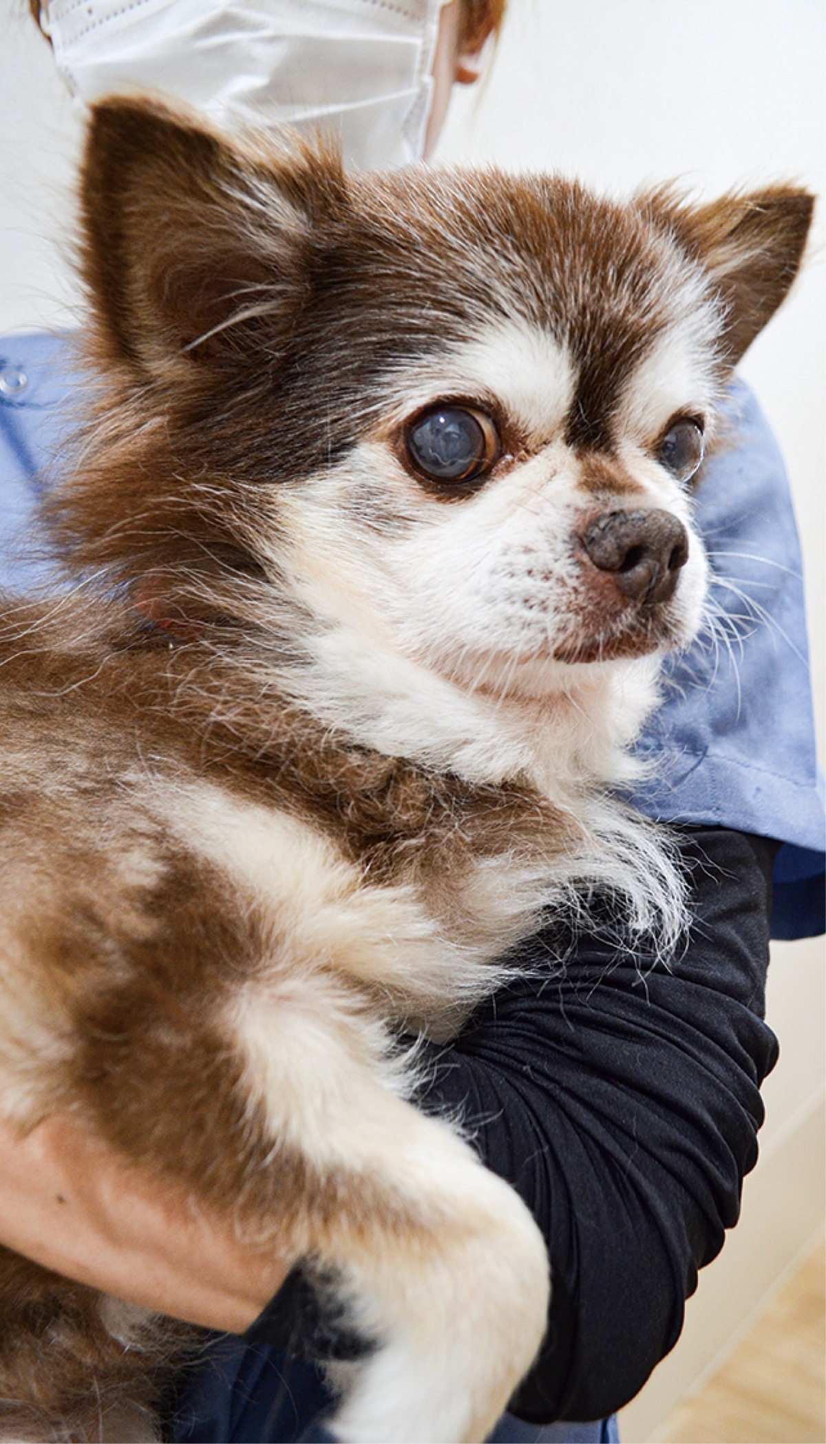 イビキ・ブーブー音に要注意