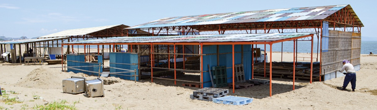 おかえり海の家