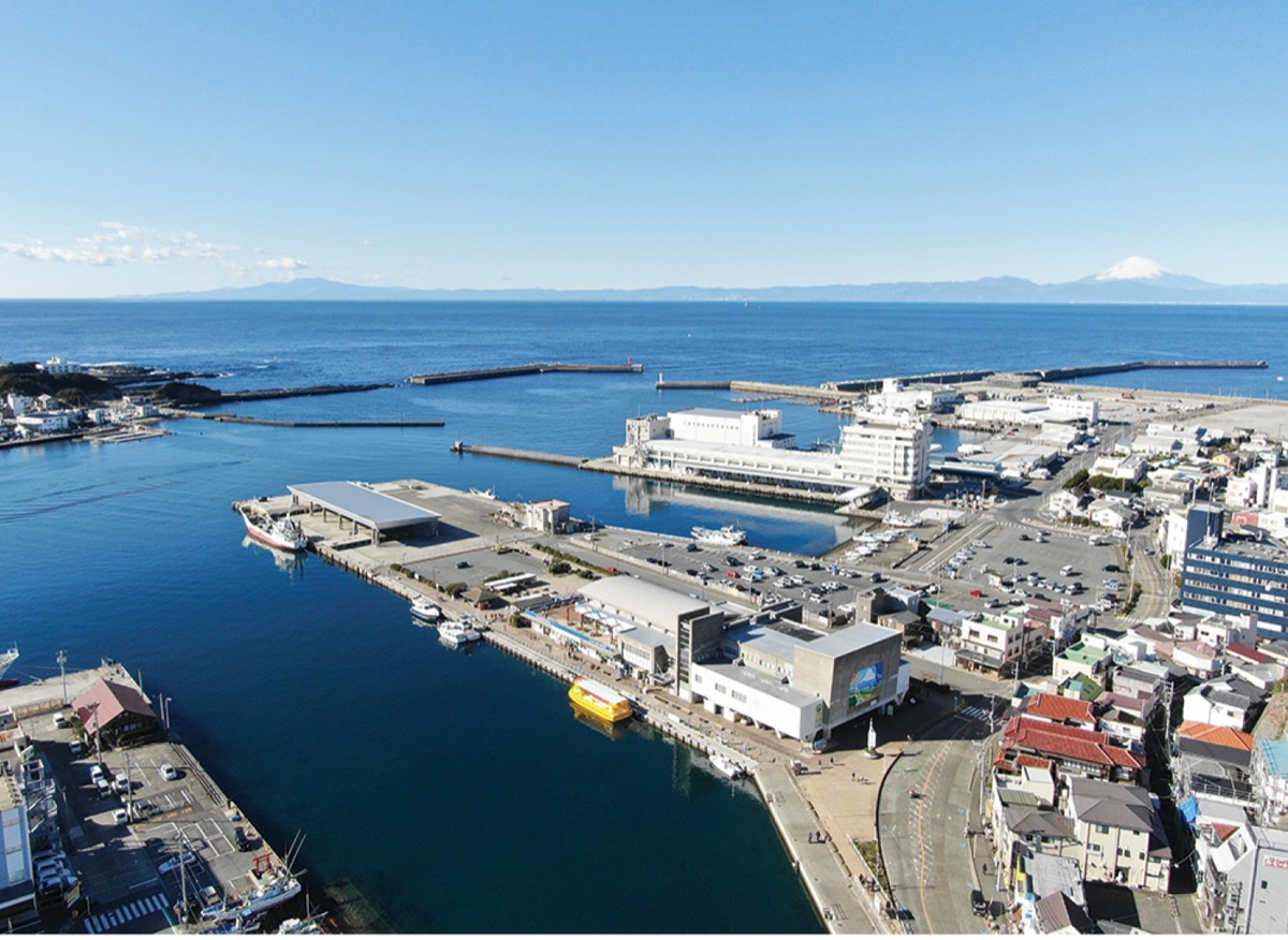 上空から見た三崎港