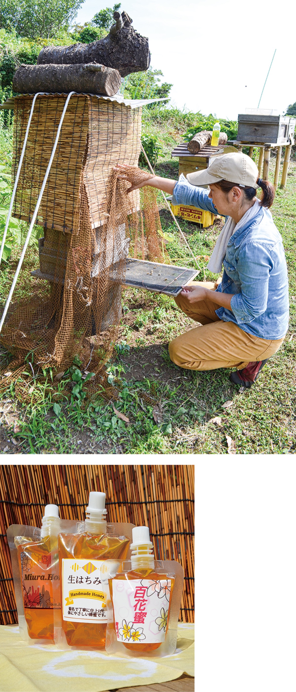三崎朝市、蜂蜜が人気？