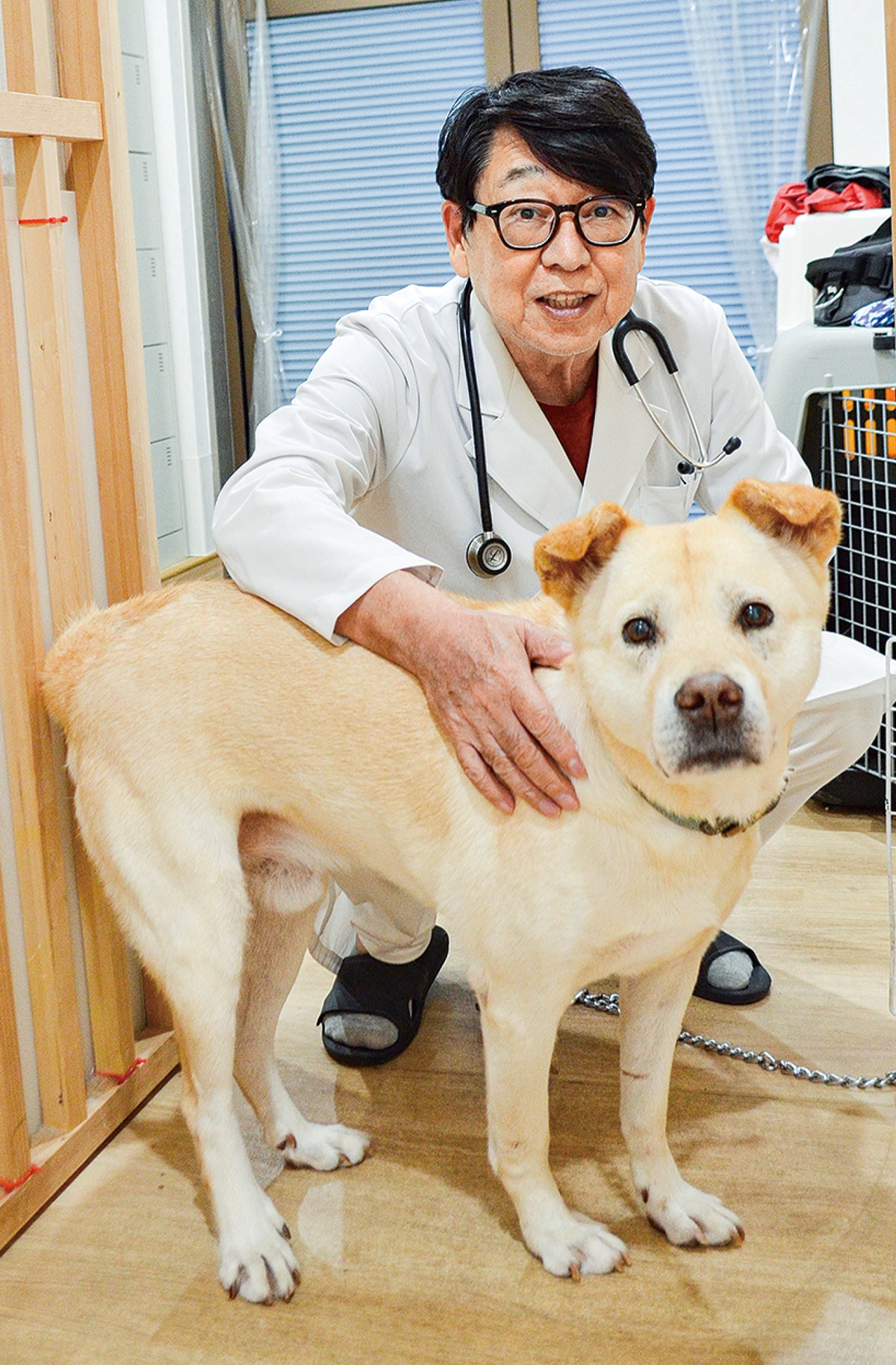 オス・メスに多い病気とは？