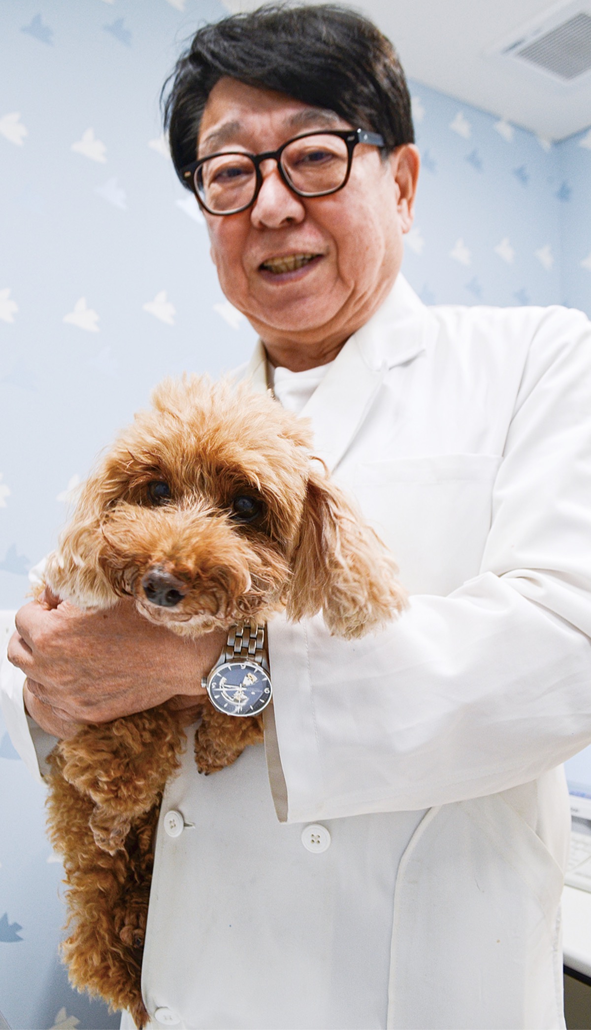 ６歳から始める犬の健康診断