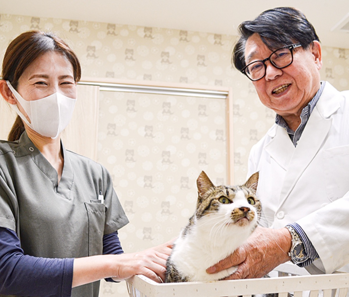 ペットの年末年始誤食などに要注意