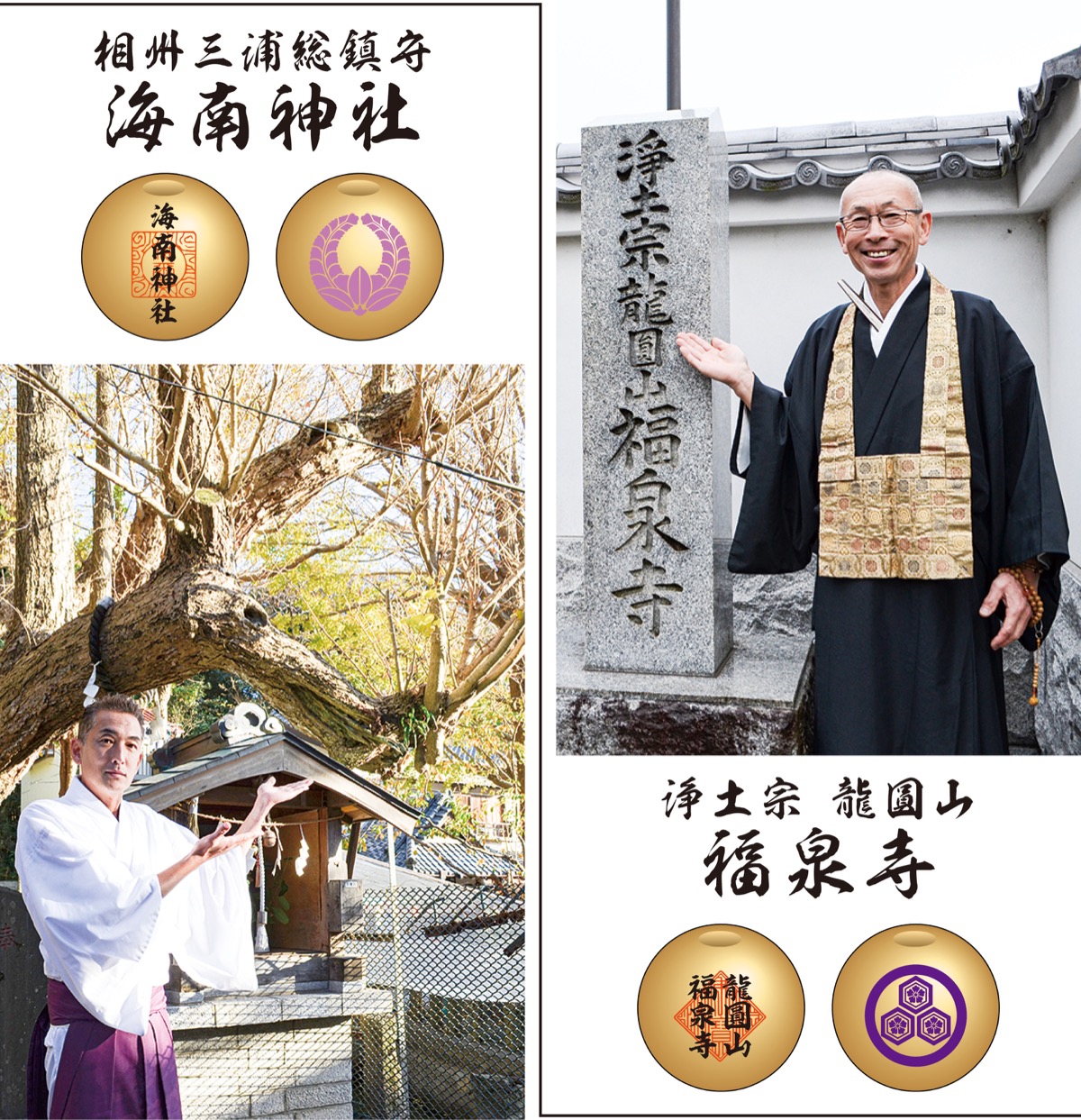 ７つの｢龍玉｣ゲットせよ