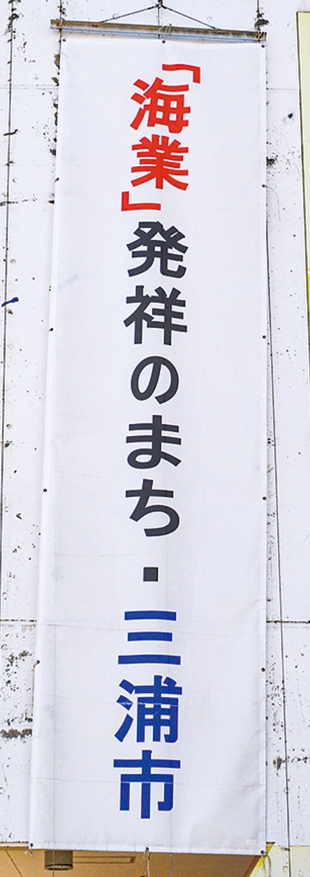三崎漁港の事業者募集