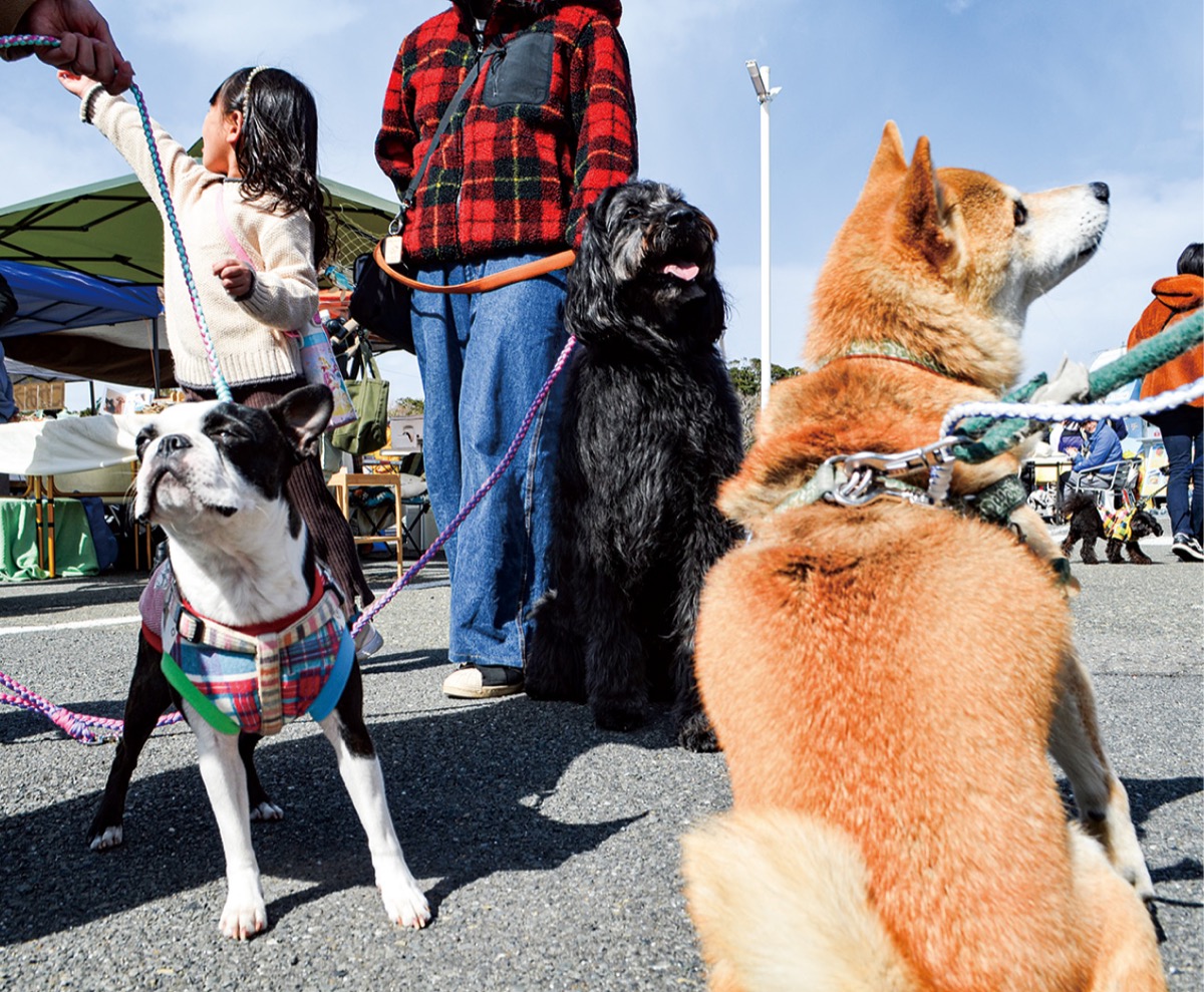 きょう営業終了跡地再整備へ
