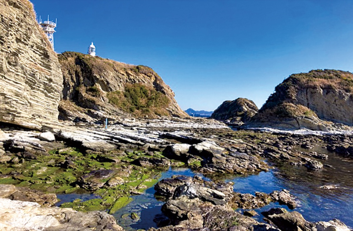 陽春の剣崎ウォーク