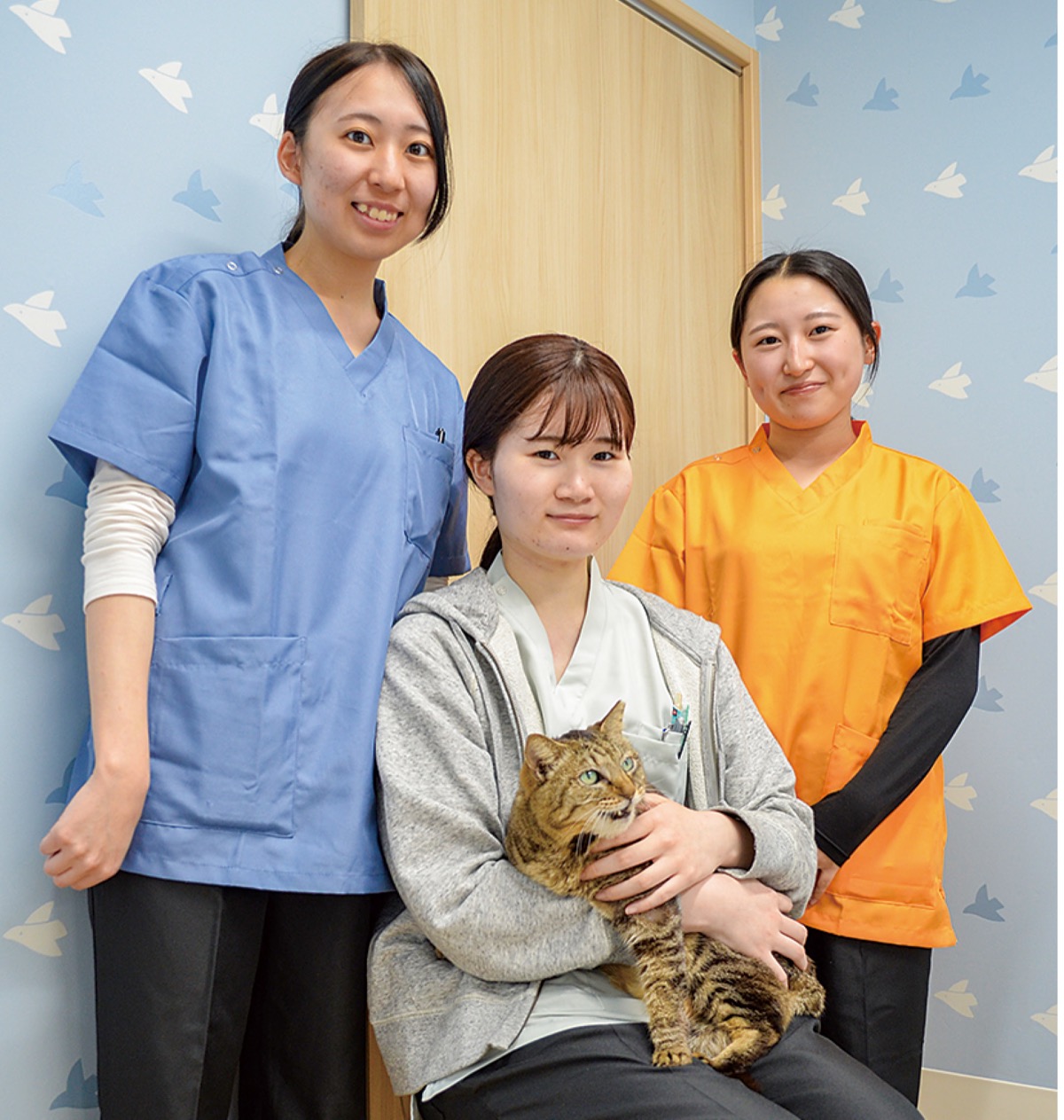 犬も猫も混合ワクチン