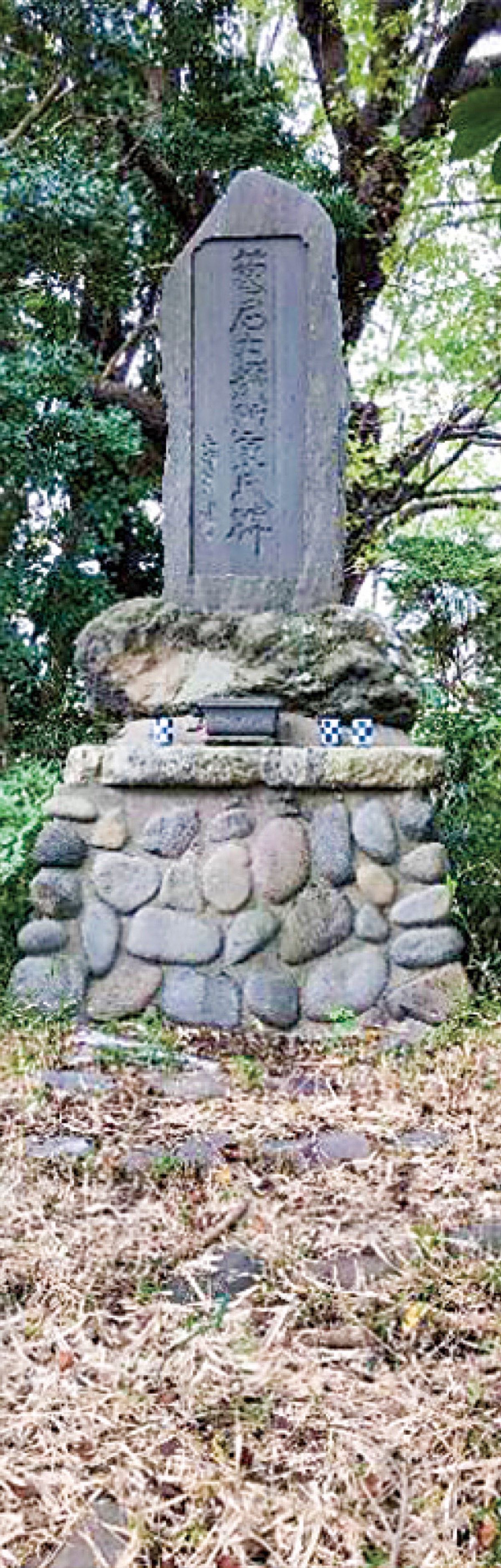 菊名と金田古跡を巡る