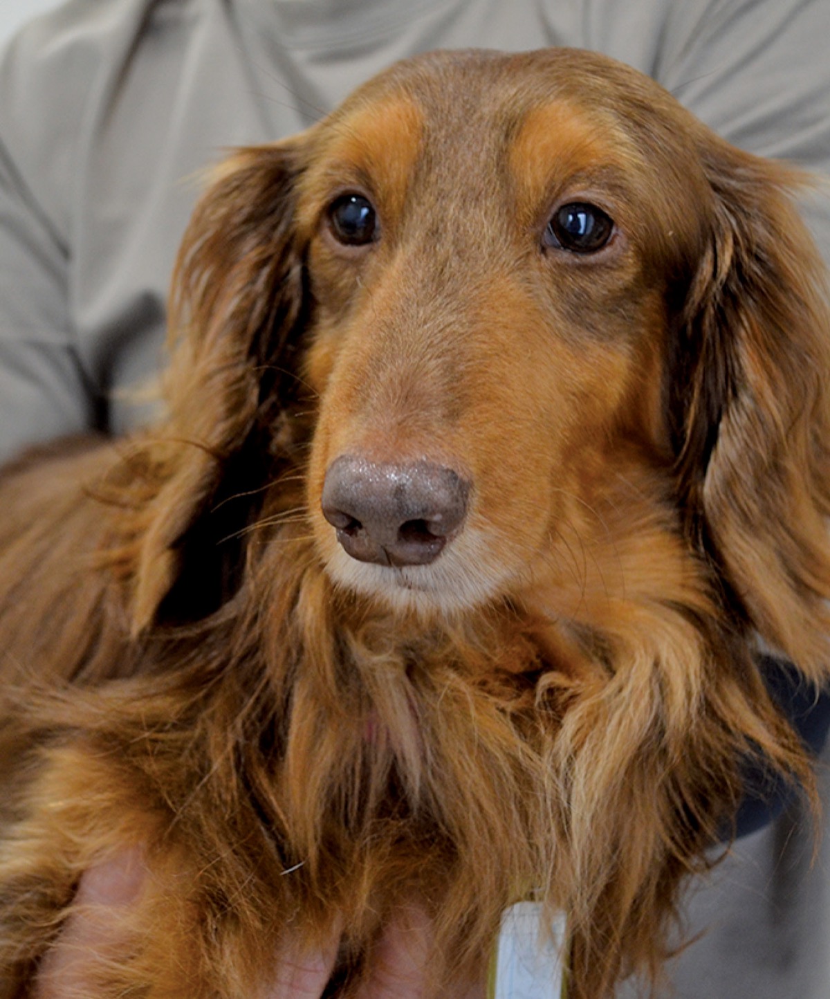 かぞくになろうよ