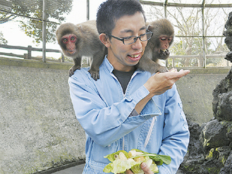 飼育員の吉村さんから好物のバナナを受け取る子猿