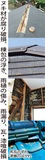 屋根等の修理が無料