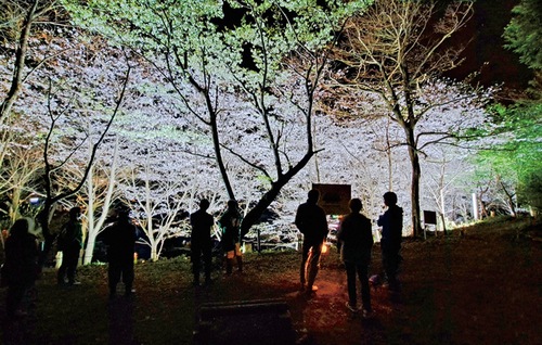 昨年のライトアップ