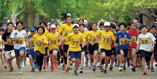 昨年は156人が参加した葉山マラソン＝協会提供