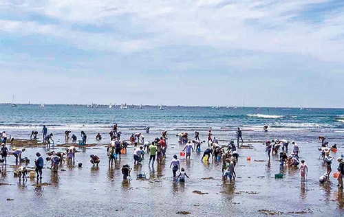 過去の活動の様子＝735style提供