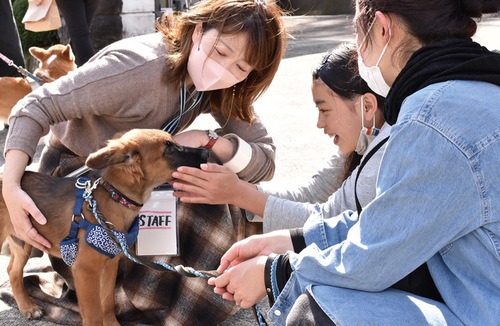 過去の譲渡会＝提供