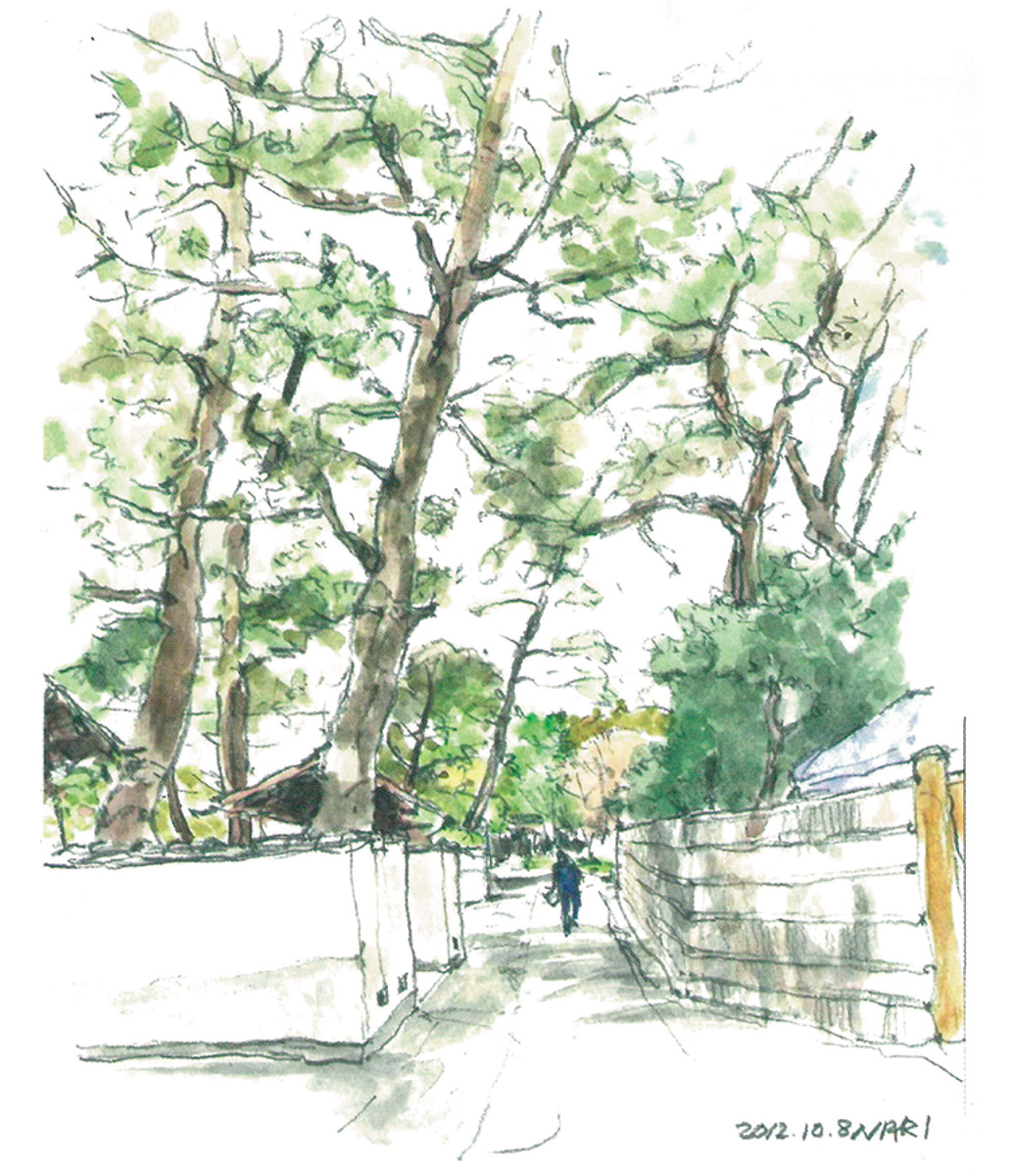 逗子の景観まちづくり瓦版　第一号